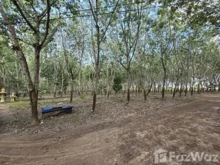 出售 土地 在 Klaeng, Rayong