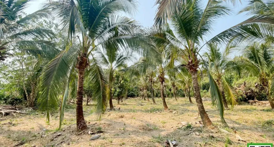 出售 土地 在 Mueang Uttaradit, Uttaradit