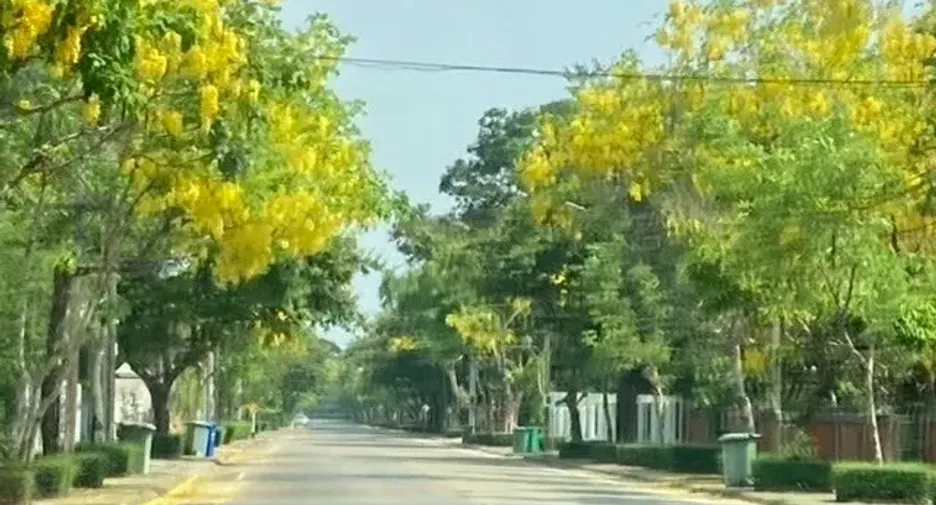 For sale land in Khan Na Yao, Bangkok