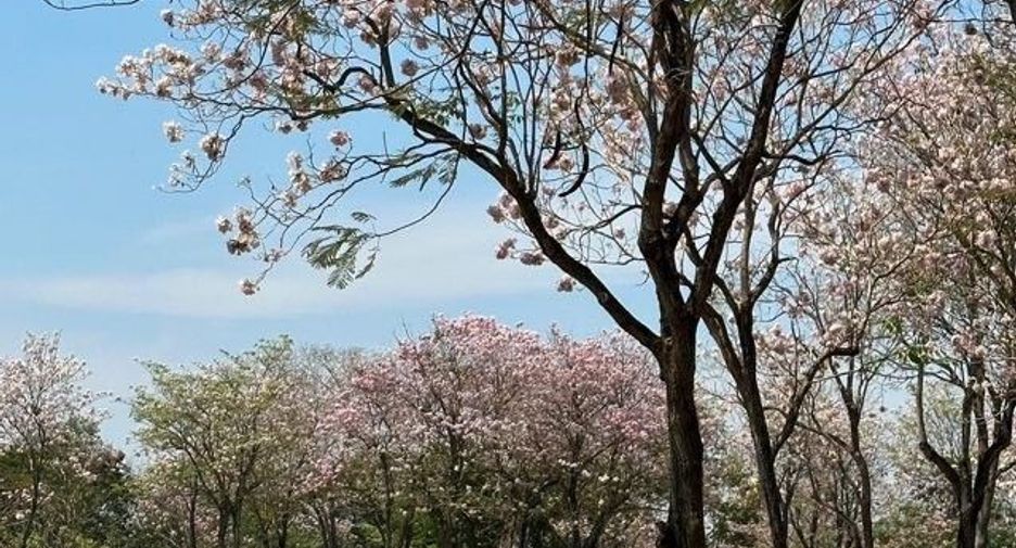 For sale land in Khan Na Yao, Bangkok