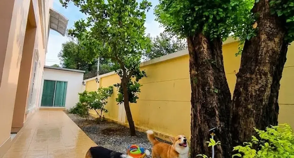 For rent 5 bedrooms house in Phasi Charoen, Bangkok