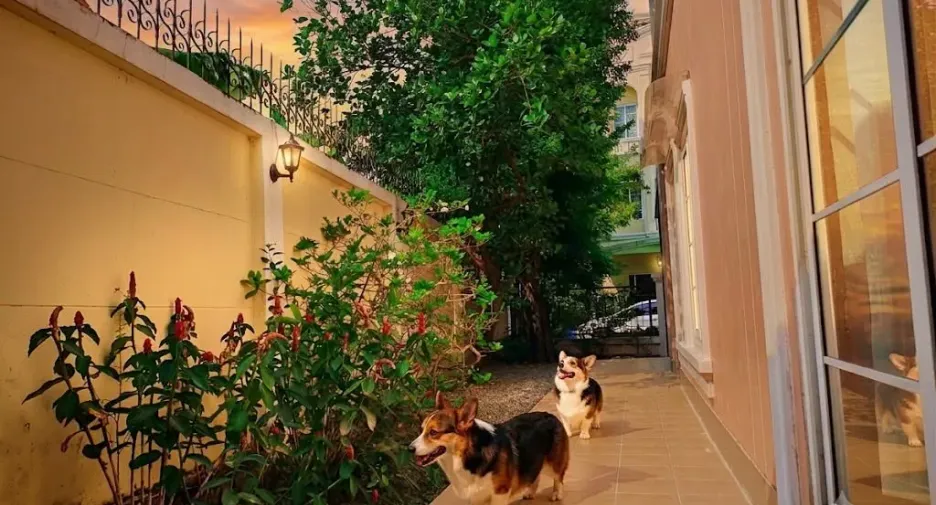 For rent 5 bedrooms house in Phasi Charoen, Bangkok