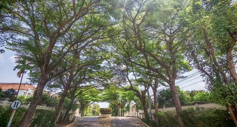 For rent 5 bedrooms house in Phasi Charoen, Bangkok
