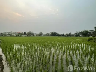 For sale land in San Sai, Chiang Mai