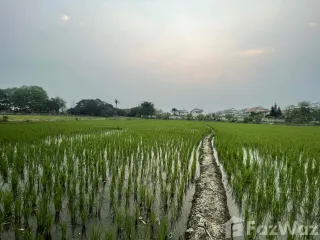 For sale land in San Sai, Chiang Mai