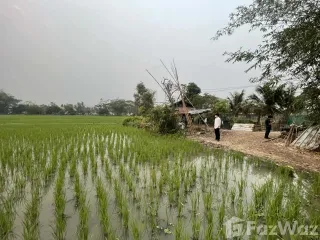 For sale land in San Sai, Chiang Mai