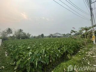 For sale land in San Sai, Chiang Mai