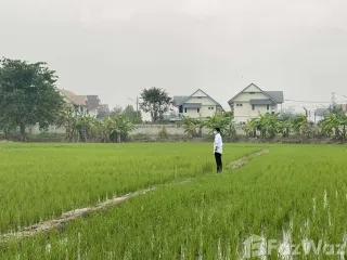 For sale land in San Sai, Chiang Mai