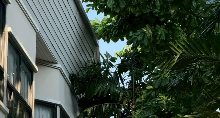 For rent 3 bedrooms house in Khlong Toei, Bangkok