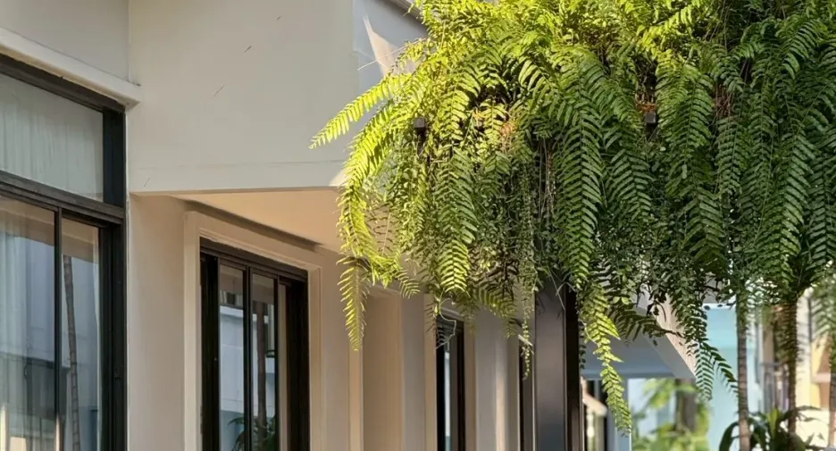 For rent 3 bedrooms house in Khlong Toei, Bangkok