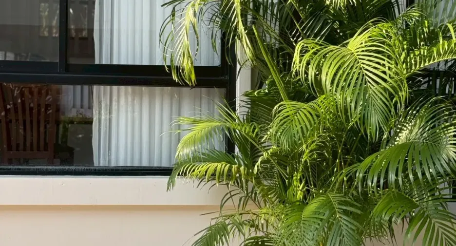 For rent 3 bedrooms house in Khlong Toei, Bangkok