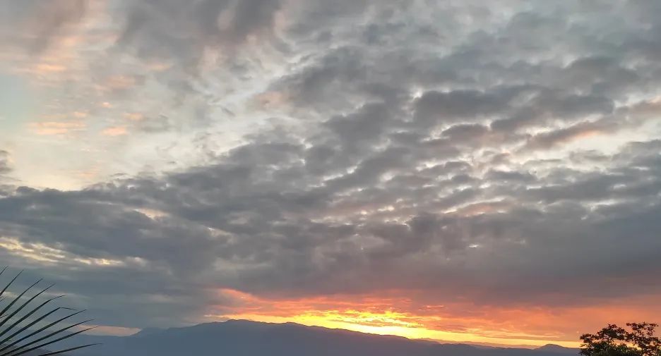 出售 土地 在 Lom Kao, Phetchabun