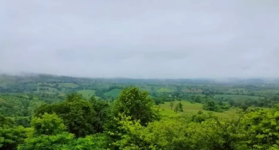 出售 土地 在 Lom Kao, Phetchabun
