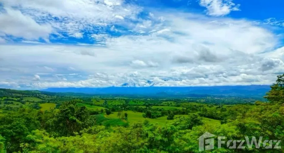 出售 土地 在 Lom Kao, Phetchabun