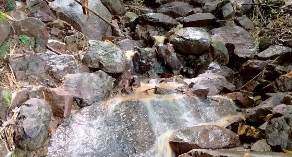 出售 土地 在 Lom Kao, Phetchabun