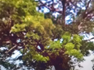 For sale land in Mueang Uttaradit, Uttaradit