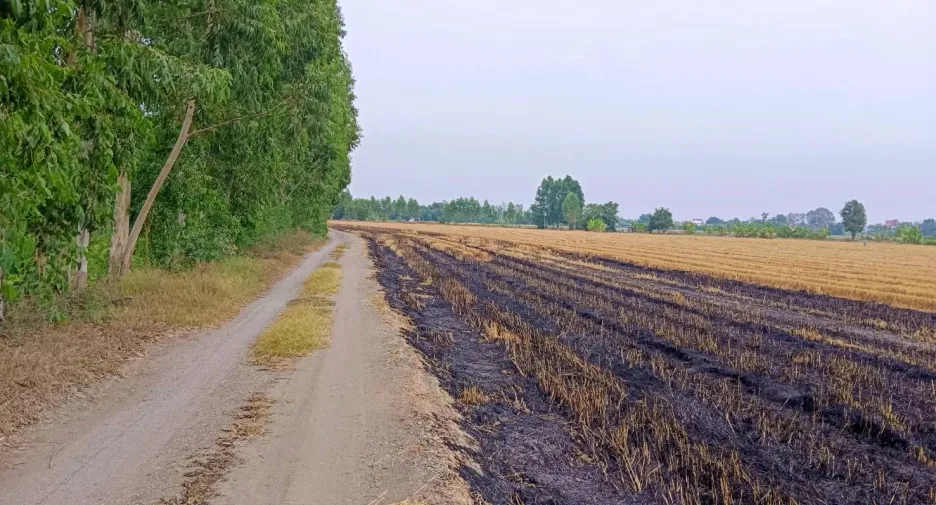 À vendre terrain à Bang Nam Priao, Chachoengsao