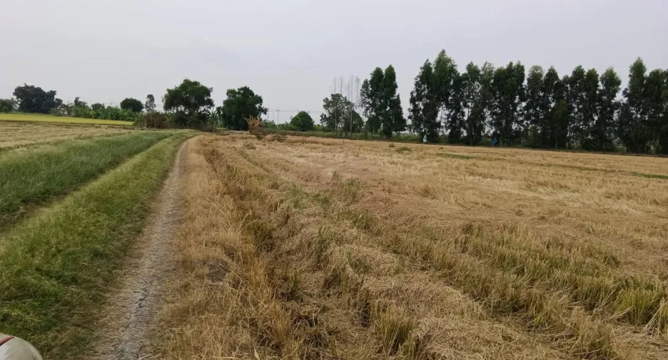 À vendre terrain à Bang Nam Priao, Chachoengsao