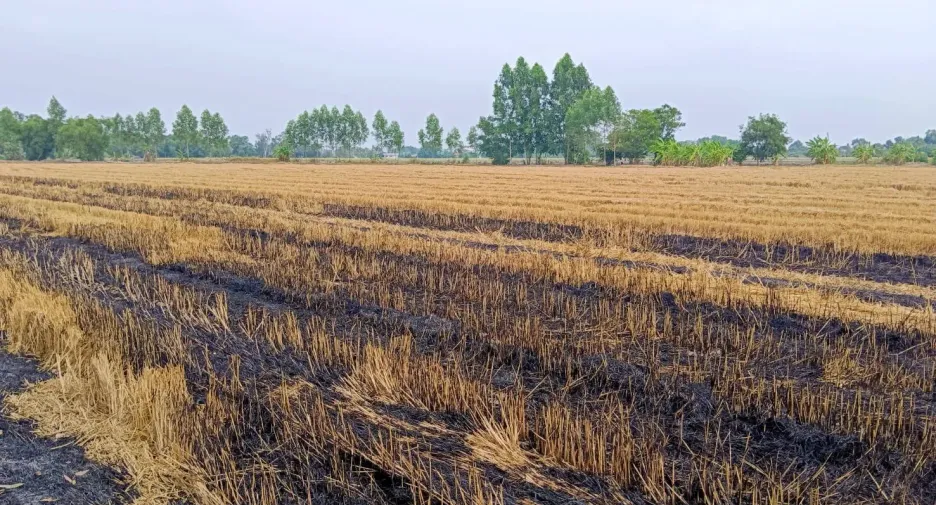 À vendre terrain à Bang Nam Priao, Chachoengsao