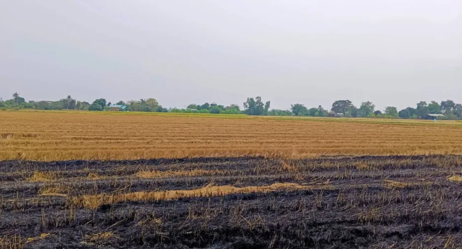 À vendre terrain à Bang Nam Priao, Chachoengsao