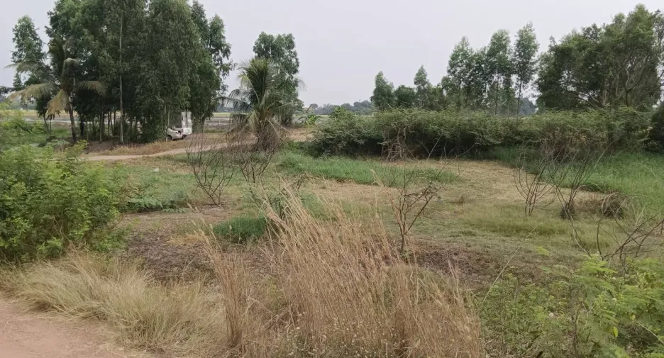 À vendre terrain à Bang Nam Priao, Chachoengsao