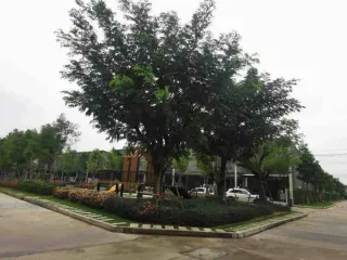 For sale そして for rent 3 ベッドルーム townhouse in Saphan Sung, Bangkok