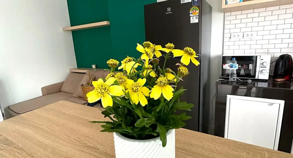 For rent 2 bedrooms condo in Mueang Songkhla, Songkhla
