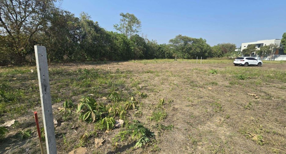 For sale land in Hang Dong, Chiang Mai