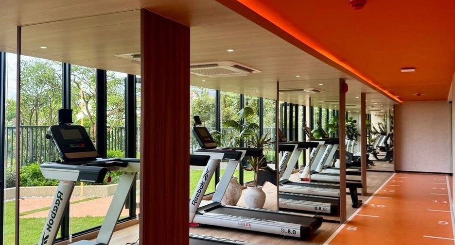 For rent 1 bed condo in Mueang Phuket, Phuket