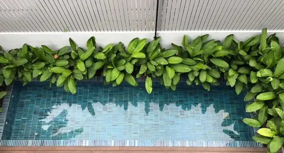 Casa en alquiler de 4 habitaciones en Watthana, Bangkok