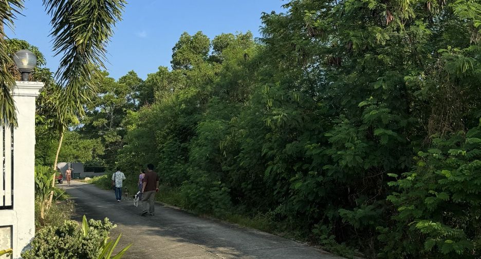 For sale land in Thalang, Phuket