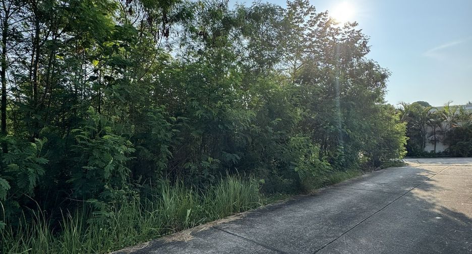For sale land in Thalang, Phuket