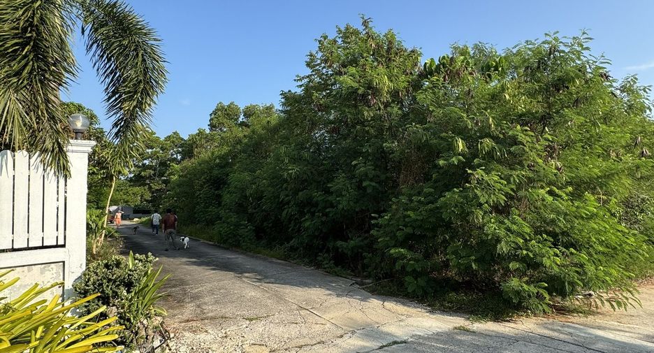 For sale land in Thalang, Phuket