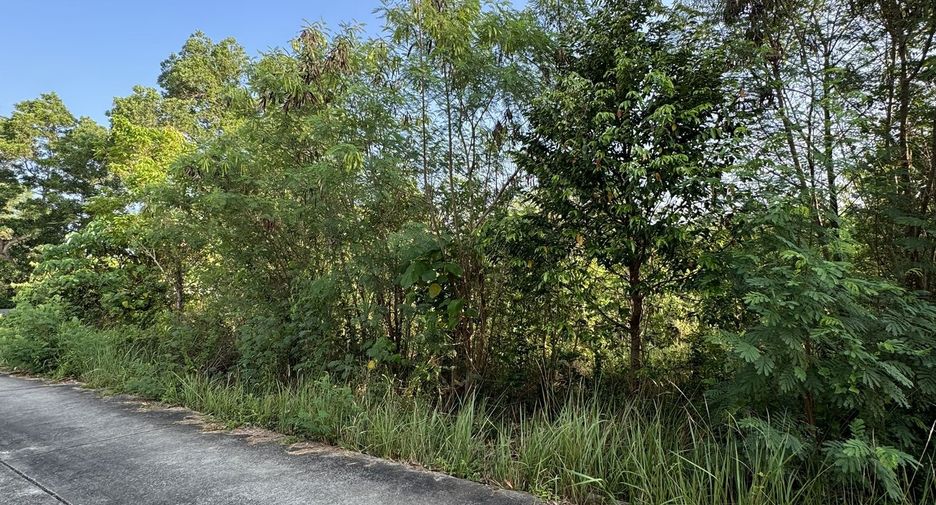 For sale land in Thalang, Phuket