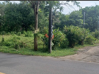 Terreno en venta en Thalang, Phuket