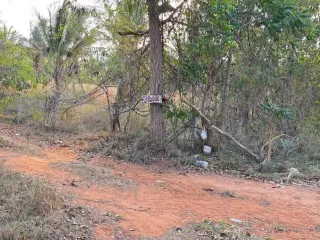 出售 土地 在 Thap Sakae, 班武里府