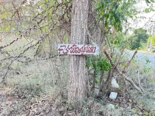 出售 土地 在 Thap Sakae, 班武里府