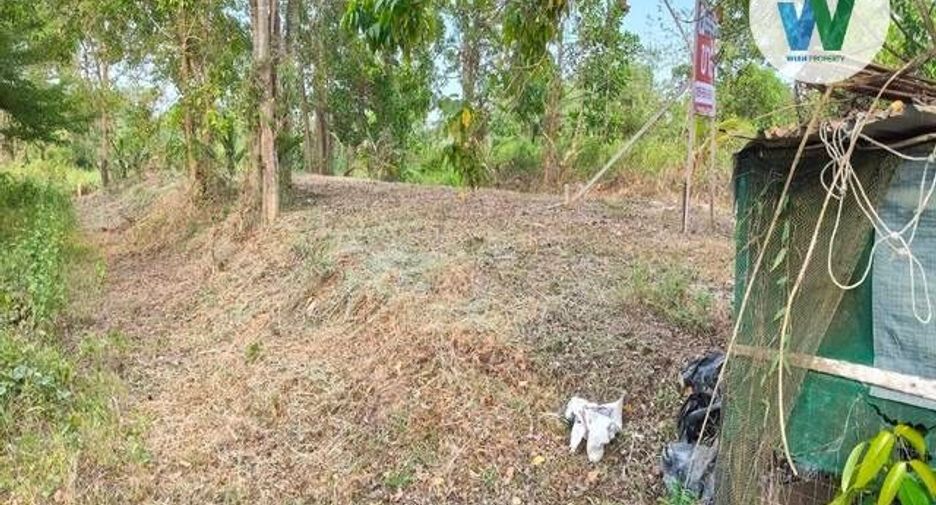 For sale land in Cha-uat, Nakhon Si Thammarat