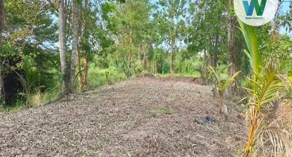 À vendre terrain à Cha-uat, Nakhon Si Thammarat