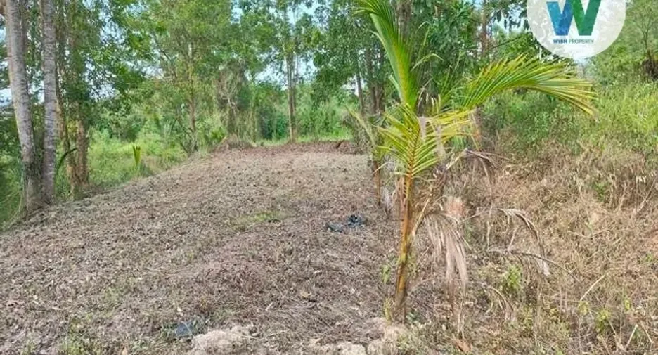 À vendre terrain à Cha-uat, Nakhon Si Thammarat
