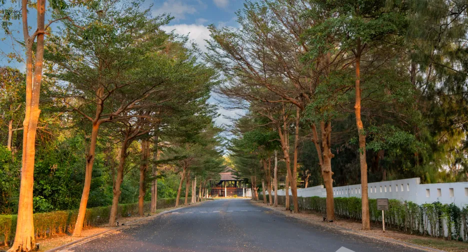 ขาย 4 ห้องนอน บ้านเดี่ยว ใน บางละมุง, ชลบุรี