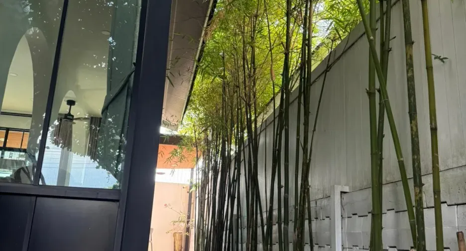 For rent 3 bedrooms house in Mueang Phuket, Phuket