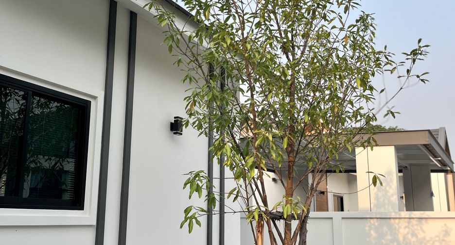 Haus zum Kauf und zur Miete mit 3 Zimmer in Mueang Chiang Mai, Chiang Mai