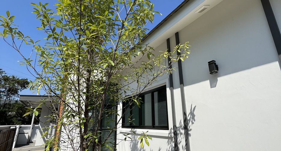 Haus zum Kauf und zur Miete mit 3 Zimmer in Mueang Chiang Mai, Chiang Mai