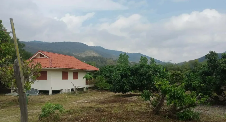 For sale land in Phrao, Chiang Mai