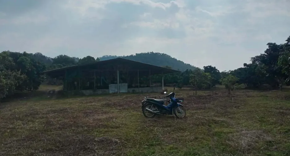For sale land in Phrao, Chiang Mai