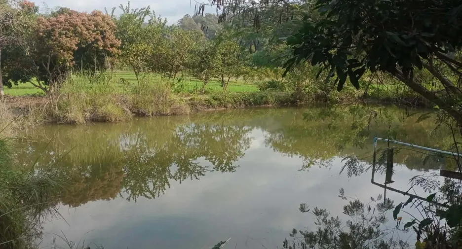 For sale land in Phrao, Chiang Mai