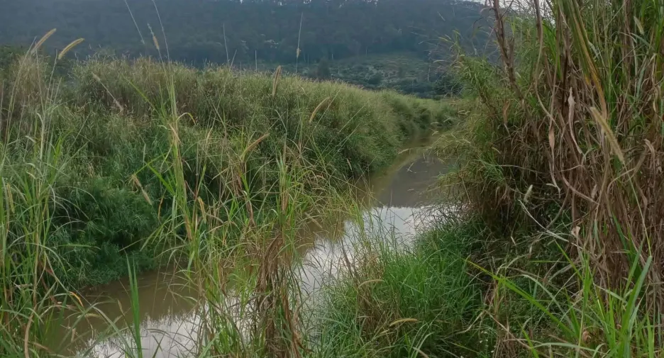 For sale land in Phrao, Chiang Mai