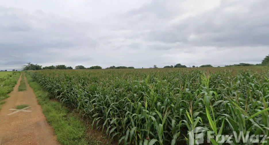 For sale land in Muak Lek, Saraburi