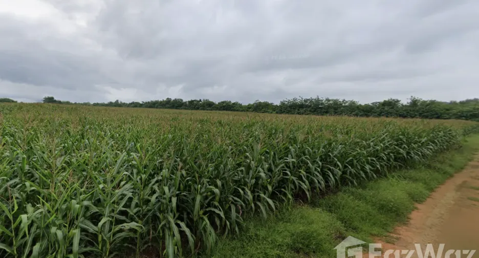For sale land in Muak Lek, Saraburi